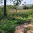  Land for sale in Concordia, Entre Rios, Concordia