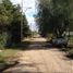  Land for sale in Junin, San Luis, Junin, San Luis