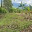  Grundstück zu verkaufen in Calarca, Quindio, Calarca