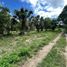  Land for sale in Campeche, Campeche, Campeche, Campeche