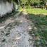  Land for sale in Campeche, Campeche, Campeche, Campeche