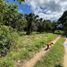  Land for sale in Campeche, Campeche, Campeche, Campeche