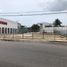  Land for rent in Campeche, Campeche, Campeche, Campeche