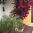 5 Schlafzimmer Haus zu verkaufen in Campeche, Campeche, Campeche, Campeche