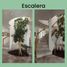 4 Bedroom House for sale in Campeche, Campeche, Campeche, Campeche