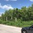 在Campeche出租的 土地, Campeche, Campeche