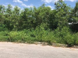 在Campeche出租的 土地, Campeche, Campeche