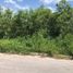  Land for rent in Campeche, Campeche, Campeche, Campeche