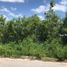 在Campeche出租的 土地, Campeche, Campeche