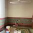 0 平米 Office for rent in Campeche, Campeche, Campeche