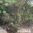  Land for sale in Campeche, Campeche, Campeche