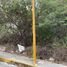  Land for sale in Campeche, Campeche, Campeche