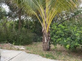  Land for sale in Campeche, Campeche, Campeche