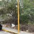  Land for sale in Campeche, Campeche, Campeche