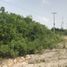 Terreno (Parcela) en venta en Campeche, Campeche, Campeche, Campeche