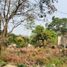  Terreno (Parcela) en venta en Campeche, Campeche, Campeche, Campeche