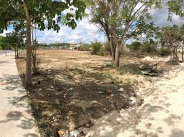  Terreno (Parcela) en alquiler en Campeche, Campeche, Campeche