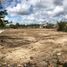  Terreno (Parcela) en alquiler en Campeche, Campeche, Campeche