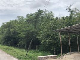  Terreno (Parcela) en venta en Campeche, Campeche, Campeche, Campeche