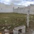 在Campeche出租的 土地, Campeche, Campeche