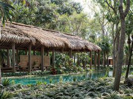 在Dzilam Gonzalez, Yucatan出售的 土地, Dzilam Gonzalez