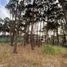  Land for sale in Pinamar, Buenos Aires, Pinamar