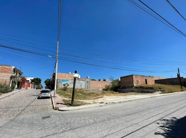  Grundstück zu verkaufen in Allende, Guanajuato, Allende