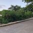  Land for sale in Gutierrez Zamora, Veracruz, Gutierrez Zamora