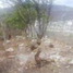 Terreno (Parcela) en venta en Tuxtla Gutierrez, Chiapas, Tuxtla Gutierrez, Chiapas