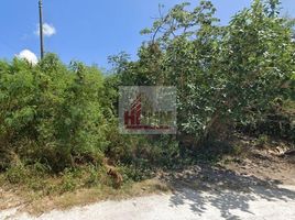  Terreno (Parcela) en venta en Isla Mujeres, Quintana Roo, Isla Mujeres