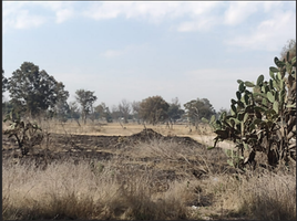 Terrain à vendre à Coyotepec, Mexico, Coyotepec