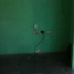 Maison 2 chambre à vendre à Acapulco, Guerrero, Acapulco