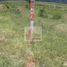  Land for sale in Tarimbaro, Michoacan, Tarimbaro