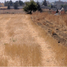  Terreno (Parcela) en venta en Milpa Alta, Ciudad de México, Milpa Alta