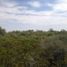  Land for sale in Mapimi, Durango, Mapimi