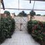 2 Bedroom House for sale in Cosoleacaque Veracruz, Cosoleacaque