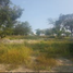  Land for sale in Ciudad Valles, San Luis Potosi, Ciudad Valles