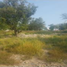  Land for sale in Ciudad Valles, San Luis Potosi, Ciudad Valles