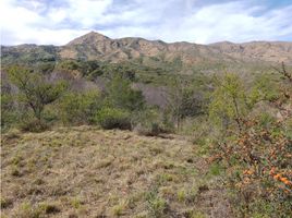  Land for sale in Punilla, Cordoba, Punilla