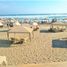 2 Habitación Apartamento en venta en Acapulco, Guerrero, Acapulco
