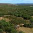 在Baja California Sur出售的 土地, La Paz, Baja California Sur