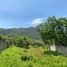  Grundstück zu verkaufen in Hidalgo, Michoacan, Hidalgo