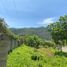  Land for sale in Hidalgo, Michoacan, Hidalgo