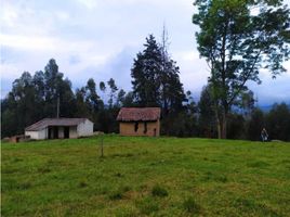 2 Habitación Casa en venta en Fuquene, Cundinamarca, Fuquene