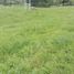  Land for sale in Cogua, Cundinamarca, Cogua