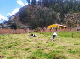  Terreno (Parcela) en venta en Villa De San Diego De Ubate, Cundinamarca, Villa De San Diego De Ubate