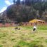  Land for sale in Villa De San Diego De Ubate Cundinamarca, Villa De San Diego De Ubate