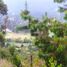 2 Bedroom House for sale in Guacheta Cundinamarca, Guacheta