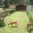 5 Bedroom House for sale in Pacho Cundinamarca, Pacho