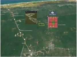  Terreno (Parcela) en venta en Ixil, Yucatán, Ixil